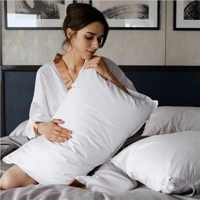 Hotel Suite White Goose Down Soft Pillow