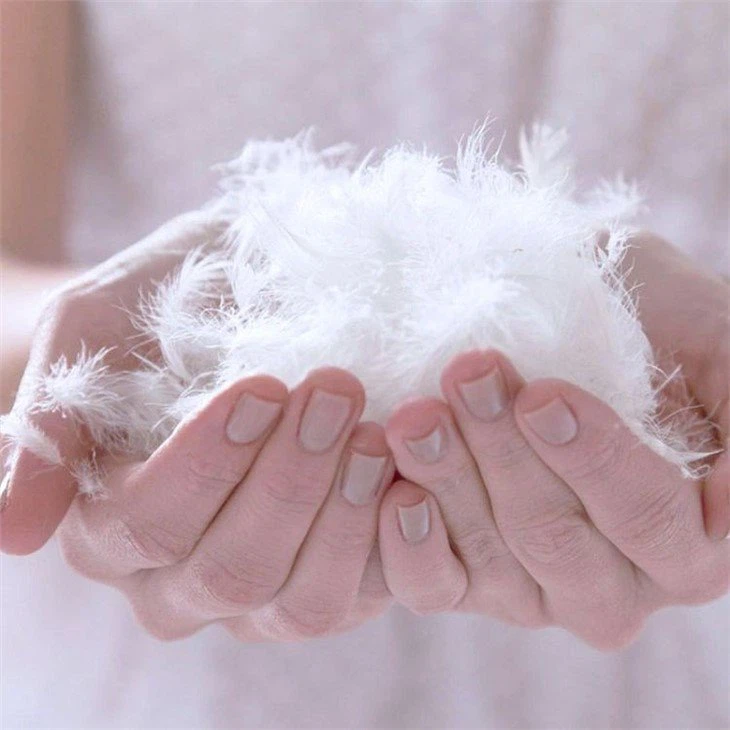 Hotel Duck Down Pillow