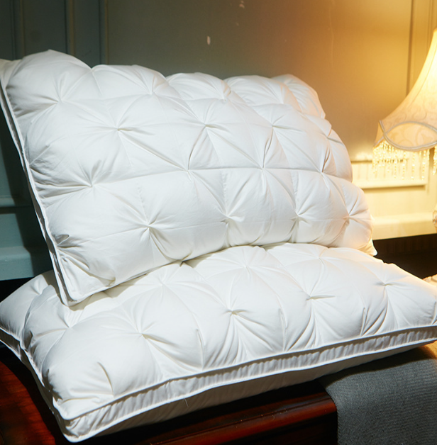 white goose down pillow